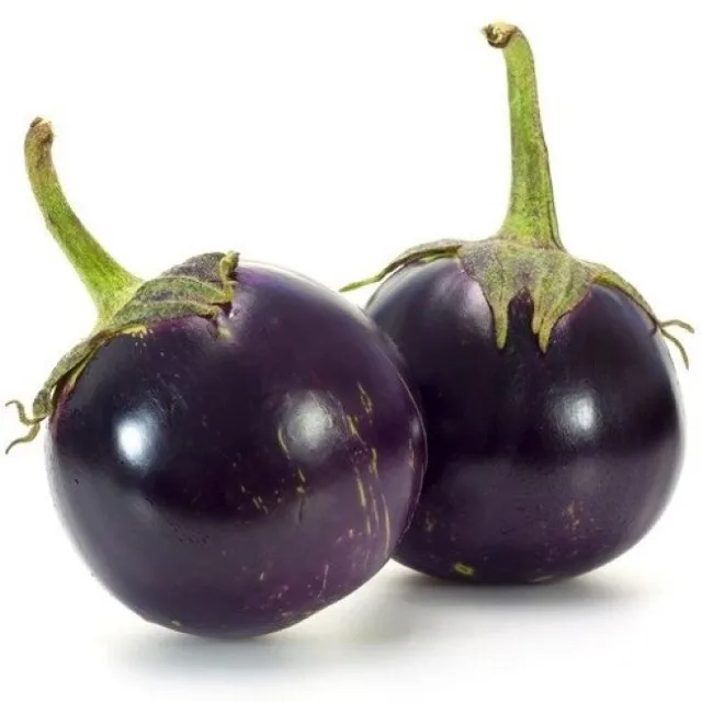Brinjal Seed